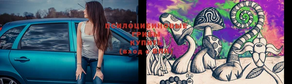 эйфоретик Алексеевка