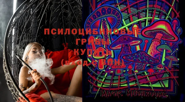 МДПВ Алзамай