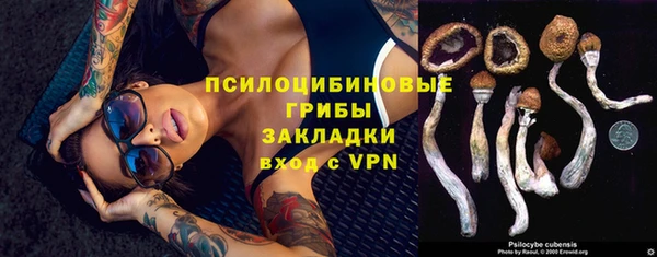 МДПВ Алзамай
