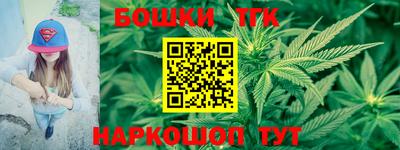 дмт Обь