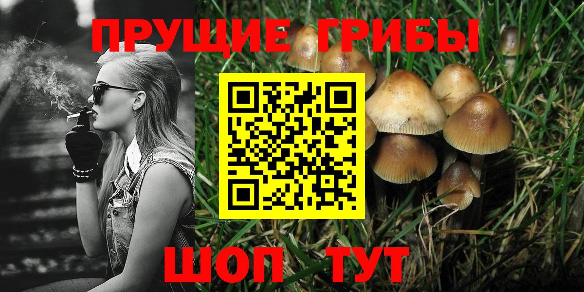 Псилоцибиновые грибы MAGIC MUSHROOMS Тамбов