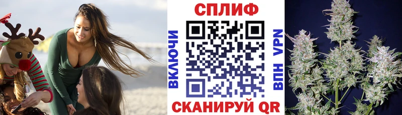 Конопля сатива  наркота  Тамбов 